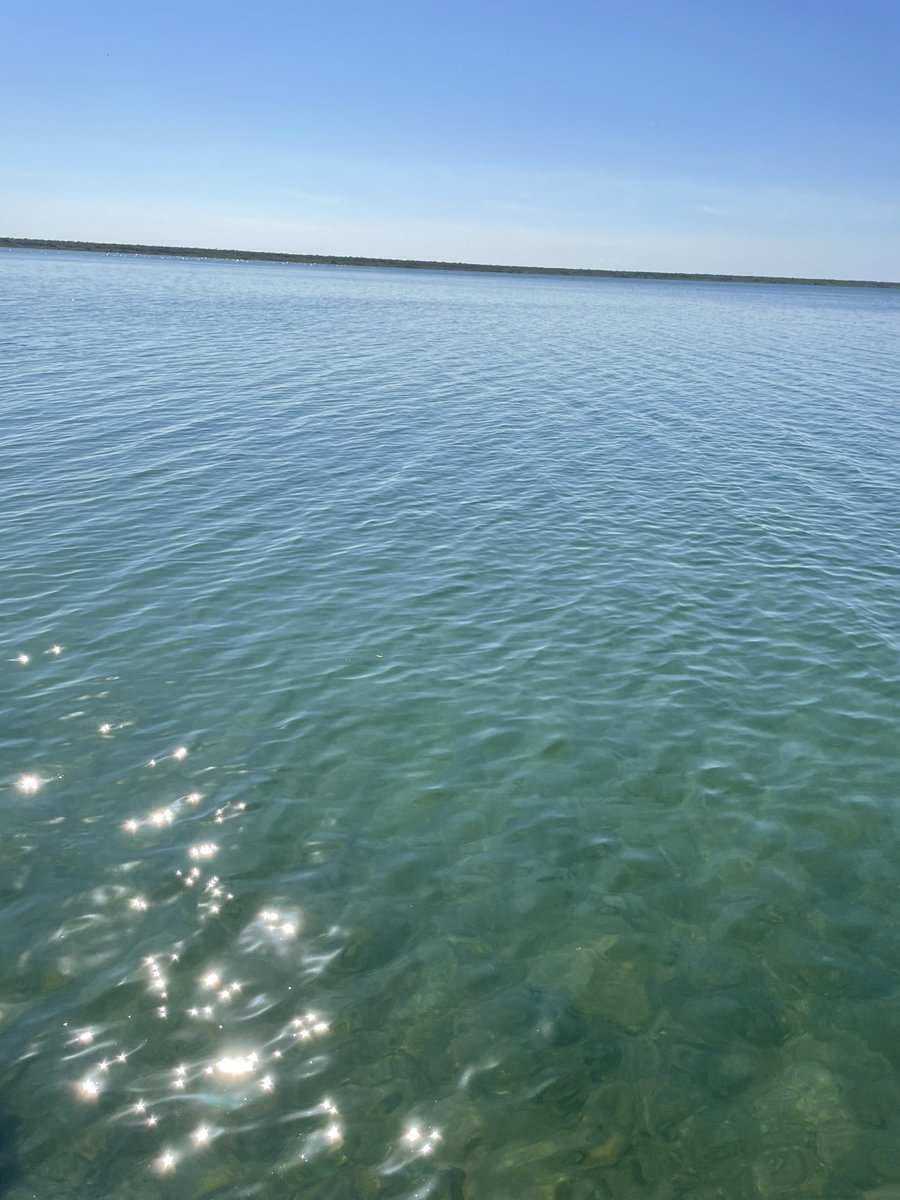 RomansUlices's tweet photo. Bacalar Lagoon ᴹˣ https://t.co/6blRkHykOj