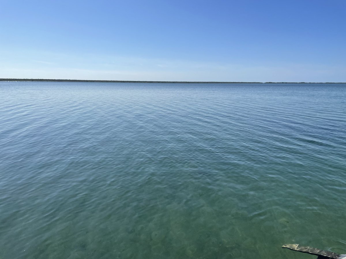 RomansUlices's tweet photo. Bacalar Lagoon ᴹˣ https://t.co/6blRkHykOj