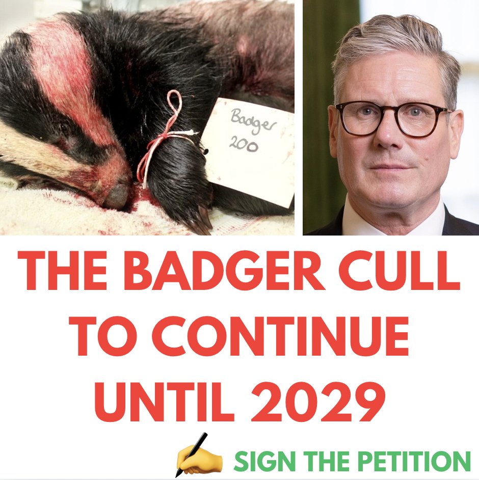 ProtectTheWild_'s tweet photo. We cannot sit by and let this happen. Please RT and sign if you're against the cull: https://t.co/cElDJPaQLR https://t.co/ylhKHVr2yv
