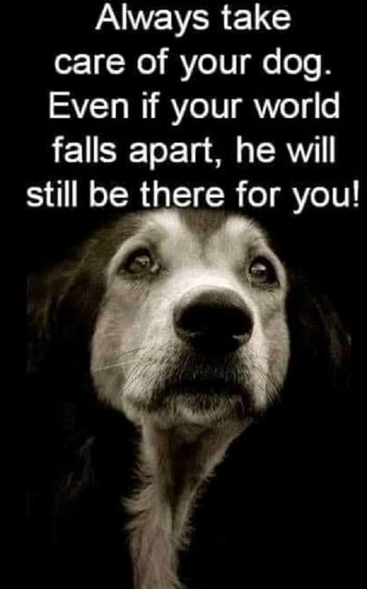 Dalbodog's tweet photo. So true https://t.co/bOxMgYeoQq