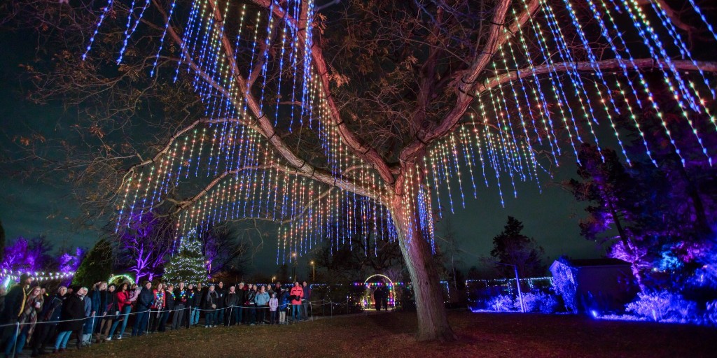 Tourism Hamilton tweet media