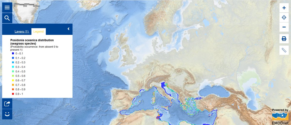🌊#DYK Posidonia oceanica is a Mediterranean treasure, vital for #MarineEcosystems? 

🗺️Celebrate #MediterraneanDay &amp; explore this week’s #MapOfTheWeek to see its distribution.

➡️maritime-forum.ec.europa.eu/map-week-seagr…

#biodiversity  #EU4Ocean #Youth4Ocean