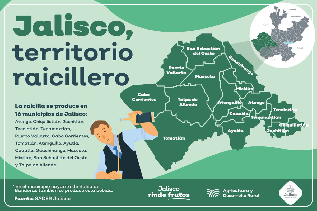 Para celebrar el #DíaInternacionalDeLaRaicilla, en el municipio de #Mascota se realizará una serie de actividades hoy y mañana, donde habrá recorridos nocturnos y degustación de las mejores marcas de este destilado que ya cuenta con su Denominación de Origen desde 2019.
