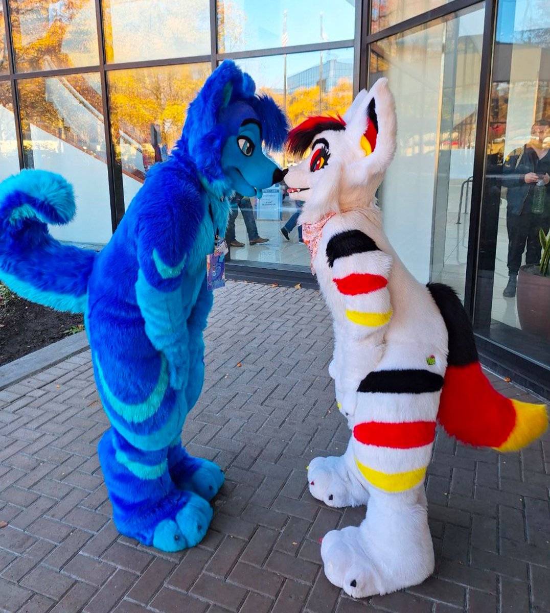Always remember to give nose boops on Fursuit Friday! 
📸: @/LostProductions
#furry #furries #FursuitFriday  #furryfandom #furrycommunity #fursuit #fursuiter #foryoupage #fyp
