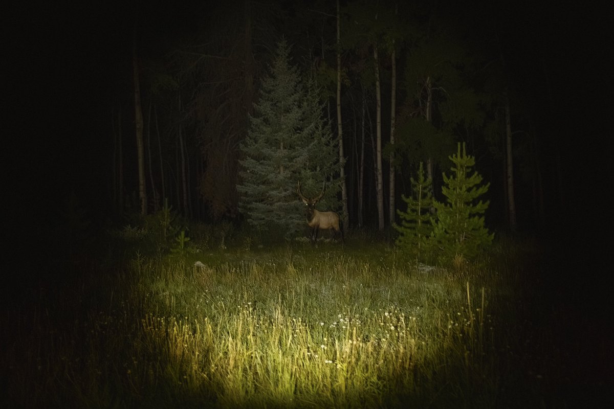 Photos I’ve recently taken