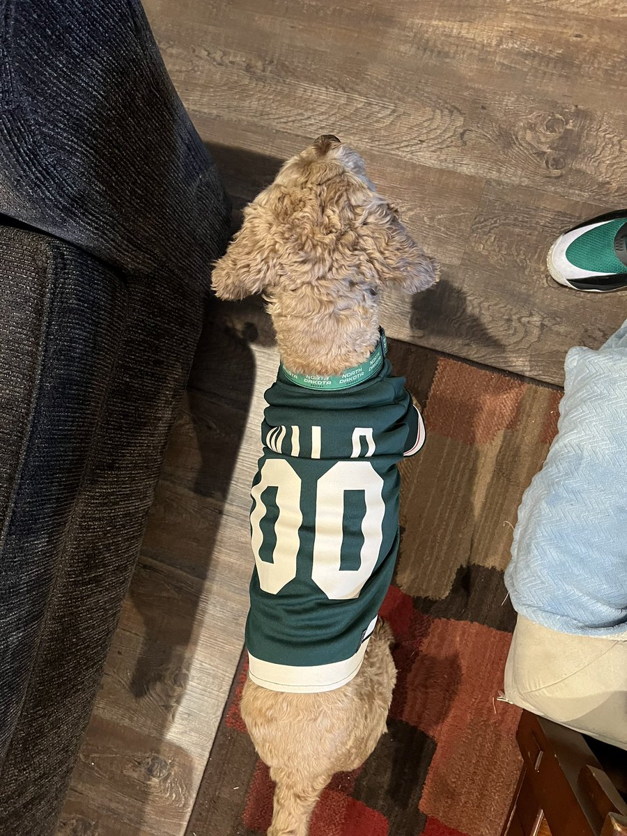 klebester's tweet photo. @AnthonyLaPanta @mnwild Finally cool enough in Georgia for Cooper to wear his Minnesota Wild sweater!  Go Wild! https://t.co/YIp2E6OoSm