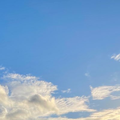 Ciarán Fahey tweet media