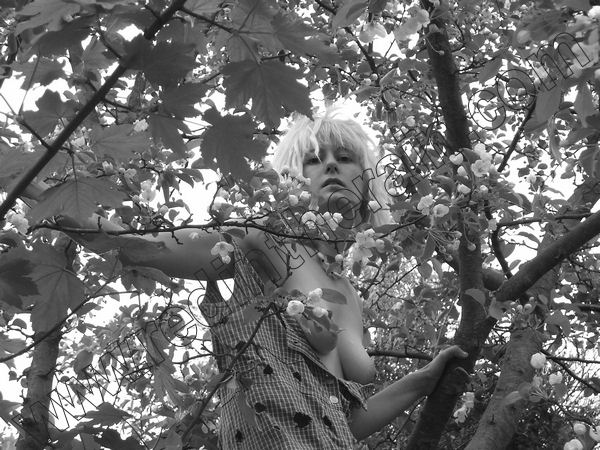 scarletmonahan's tweet image. 