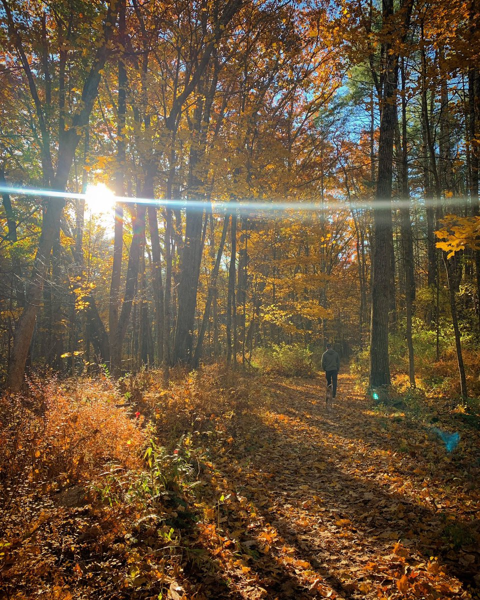 Wishing everyone a beautiful #holiday season filled with plenty of walks in #nature #getoutside #adventure #recovery
