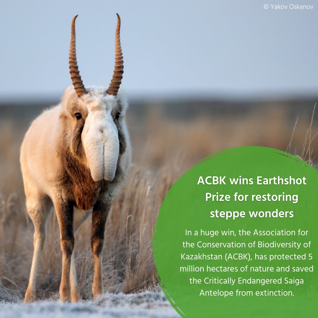 BirdLife International tweet media