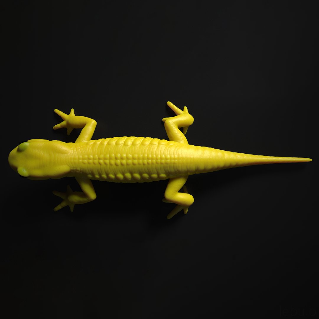 lebulb_fr's tweet image. salamander
sculpture &amp;amp; anatomy demo
modeling with ZBrush, texturing with Substance Designer, render with Maxwell

🔗 a little more at artstation.com/lebulb

#ZBrush #SubtanceDesigner #MaxwellRender
#Animal #Anatomy #Realism #Modeling #3D
#MadeWithSubstance #ArtStation