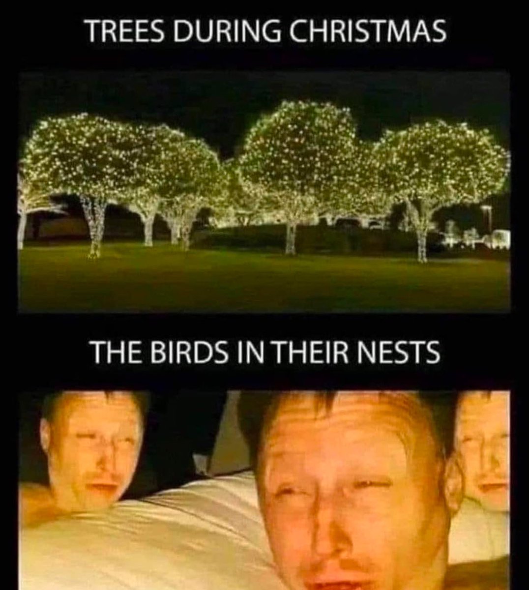 nocontextmemes's tweet photo. https://t.co/qePRRfxnQe