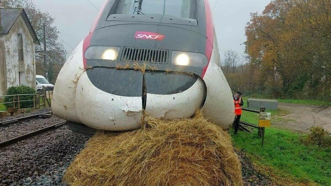 Cebounet58's tweet photo. @Matenolol Ton train etait celui la 😂😂😂 https://t.co/Cd5LRkgmOj