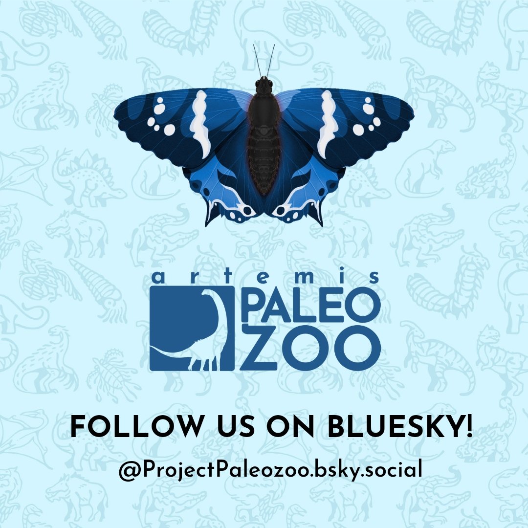 Artemis Paleozoo tweet media