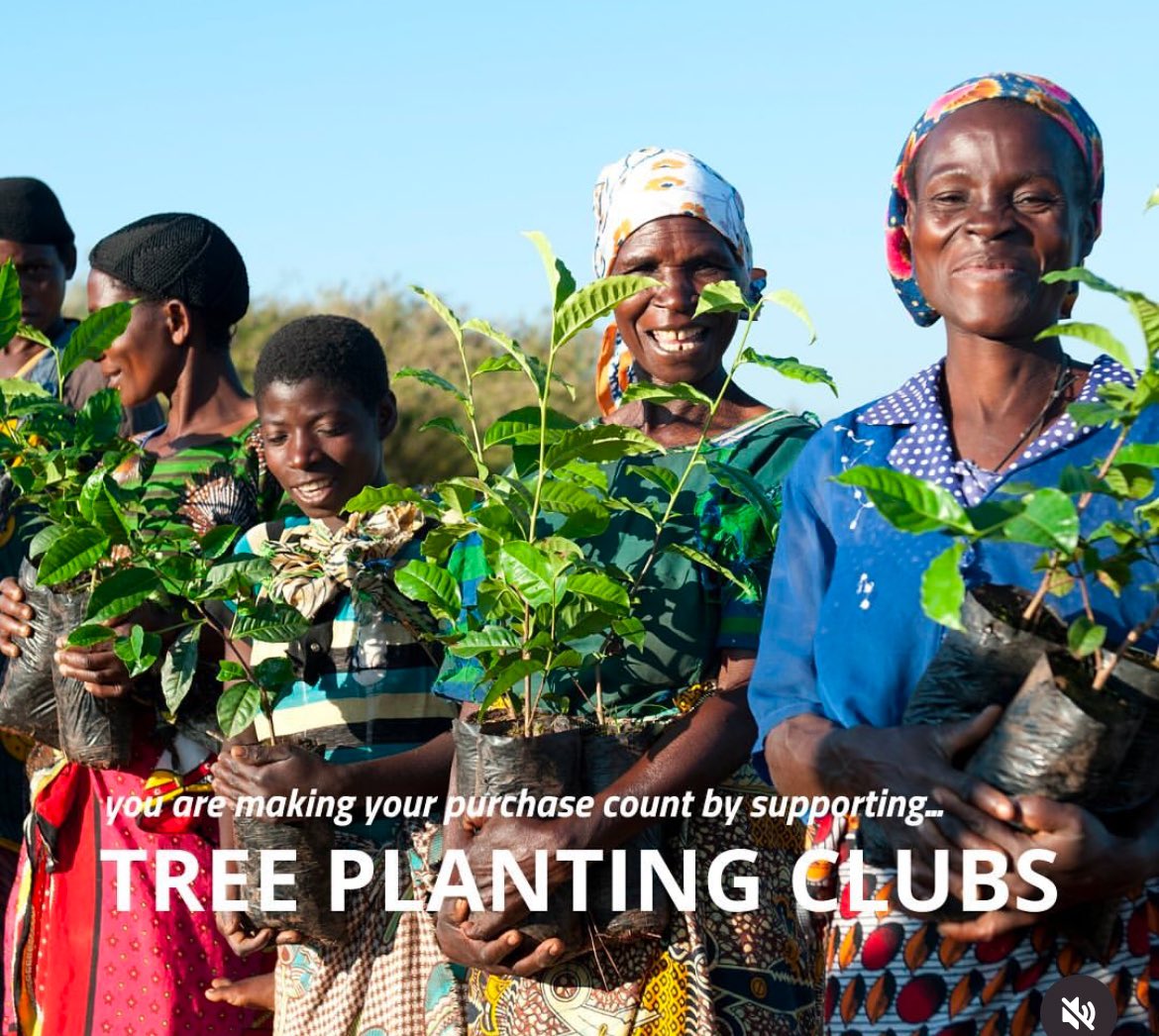 Tea Rebellion tweet media