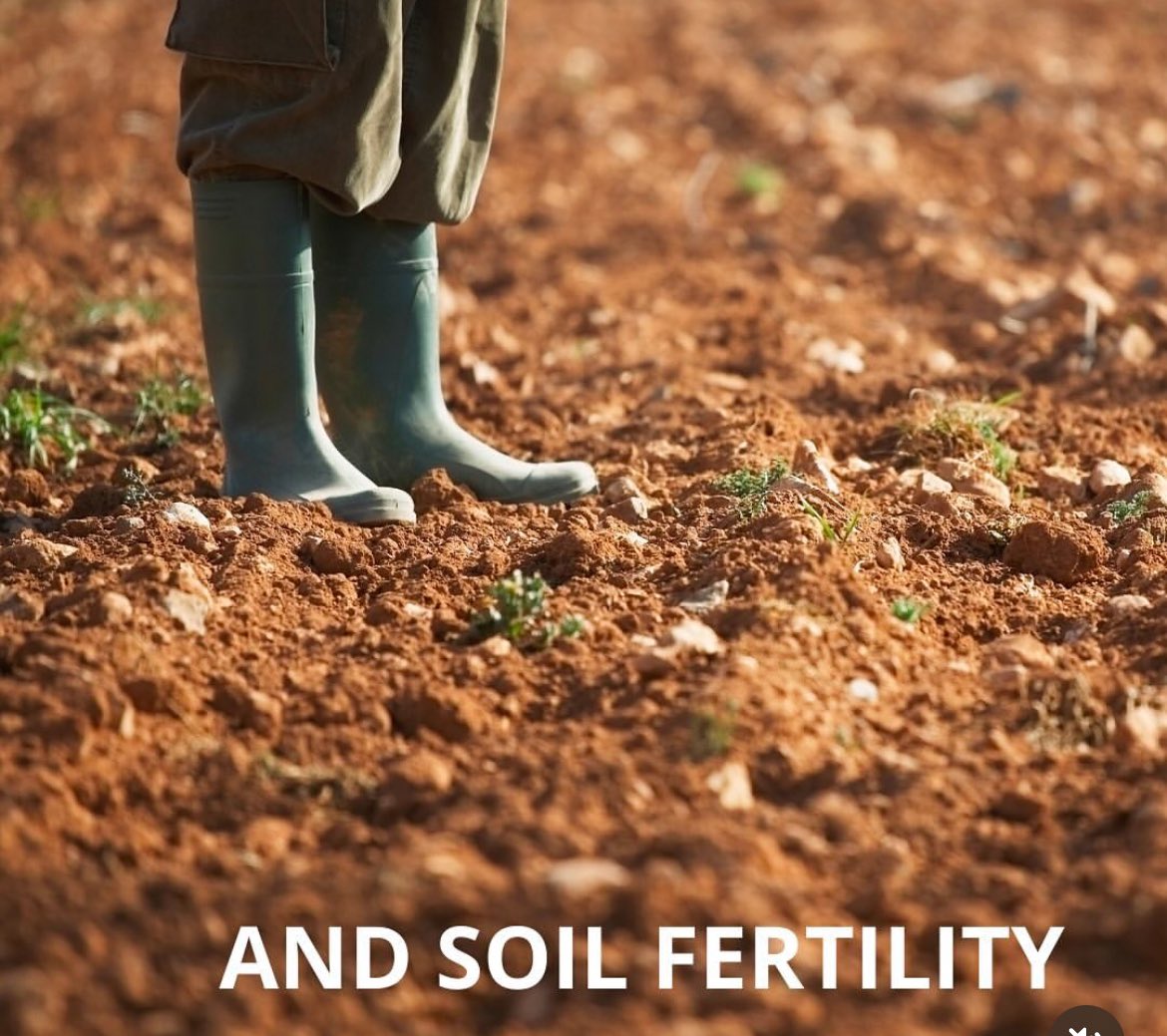 Tea Rebellion tweet media