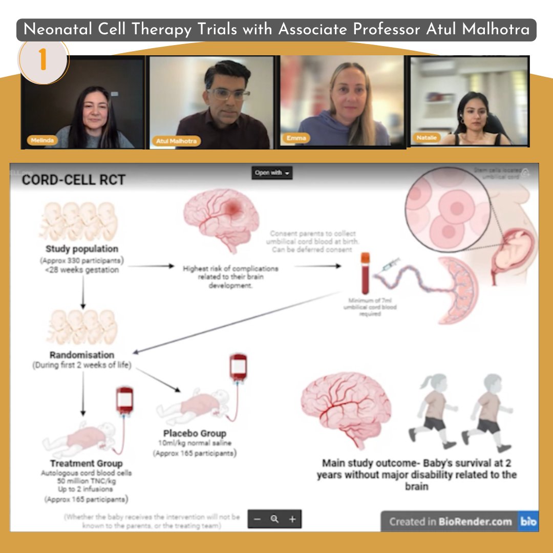 NICULived's tweet photo. This episode's a big one! We speak to @Atul_Monash about 3 world-first @Neo_CellTherapy trials using cord blood from extremely premature babies. The cells from cord blood have properties that may be able to protect or even repair a baby's brain.

Watch -> https://t.co/c3uvSu3OUS https://t.co/u6QzYIXxQr