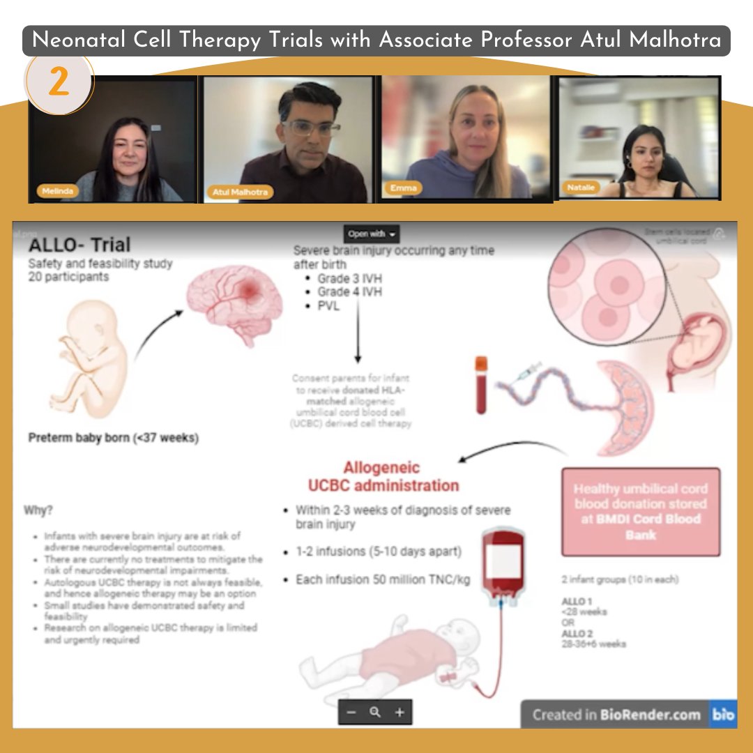 NICULived's tweet photo. This episode's a big one! We speak to @Atul_Monash about 3 world-first @Neo_CellTherapy trials using cord blood from extremely premature babies. The cells from cord blood have properties that may be able to protect or even repair a baby's brain.

Watch -> https://t.co/c3uvSu3OUS https://t.co/u6QzYIXxQr