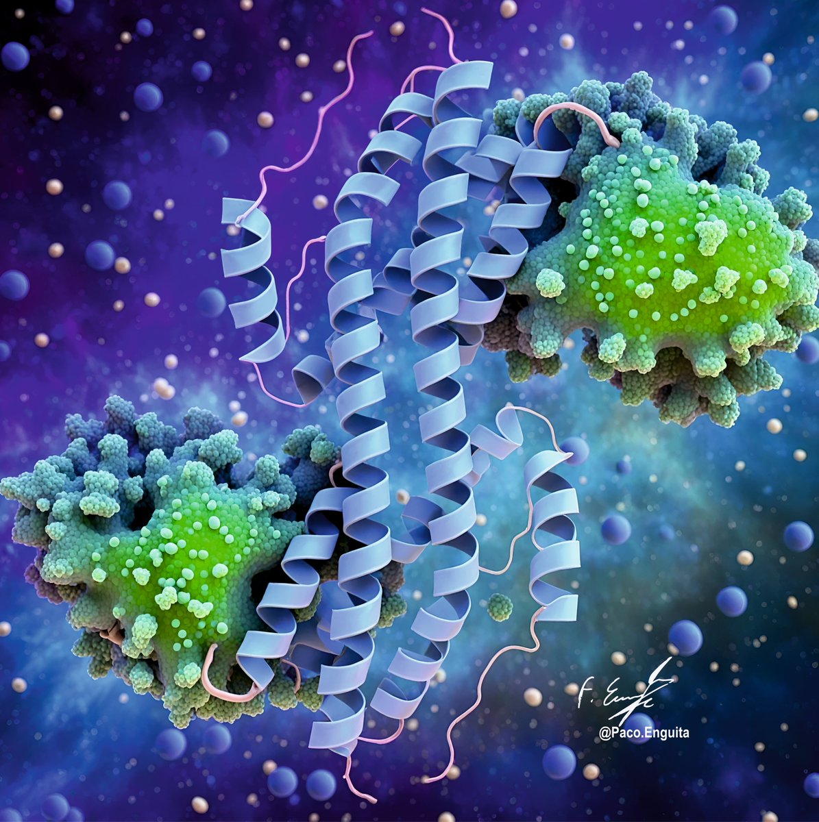 Francisco J. Enguita tweet media