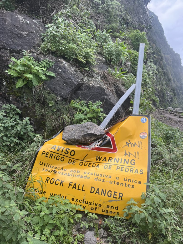 EllisGoodson's tweet image. Quite…