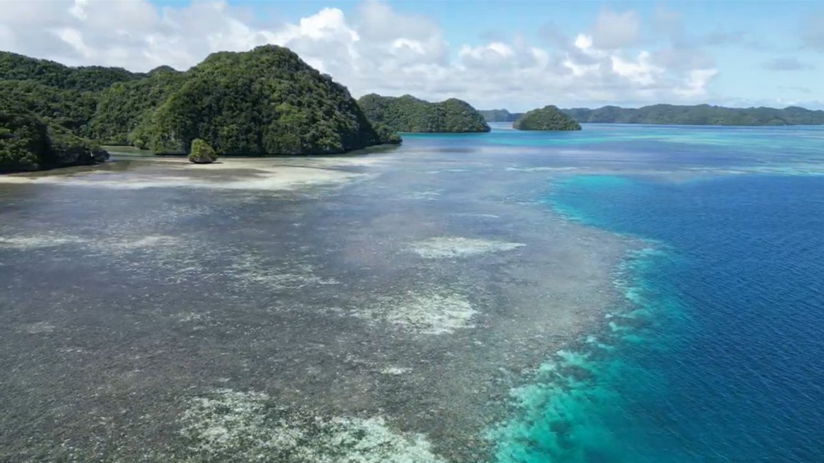 Now we must combine this knowledge to support natural adaptation and enhance the heat tolerance of key coral species at local scales for high priority reefs.

(10/12)