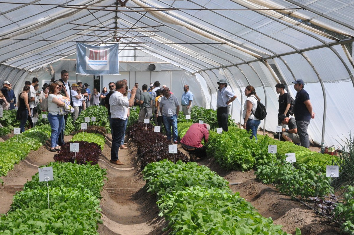 INTA Anguil tweet media