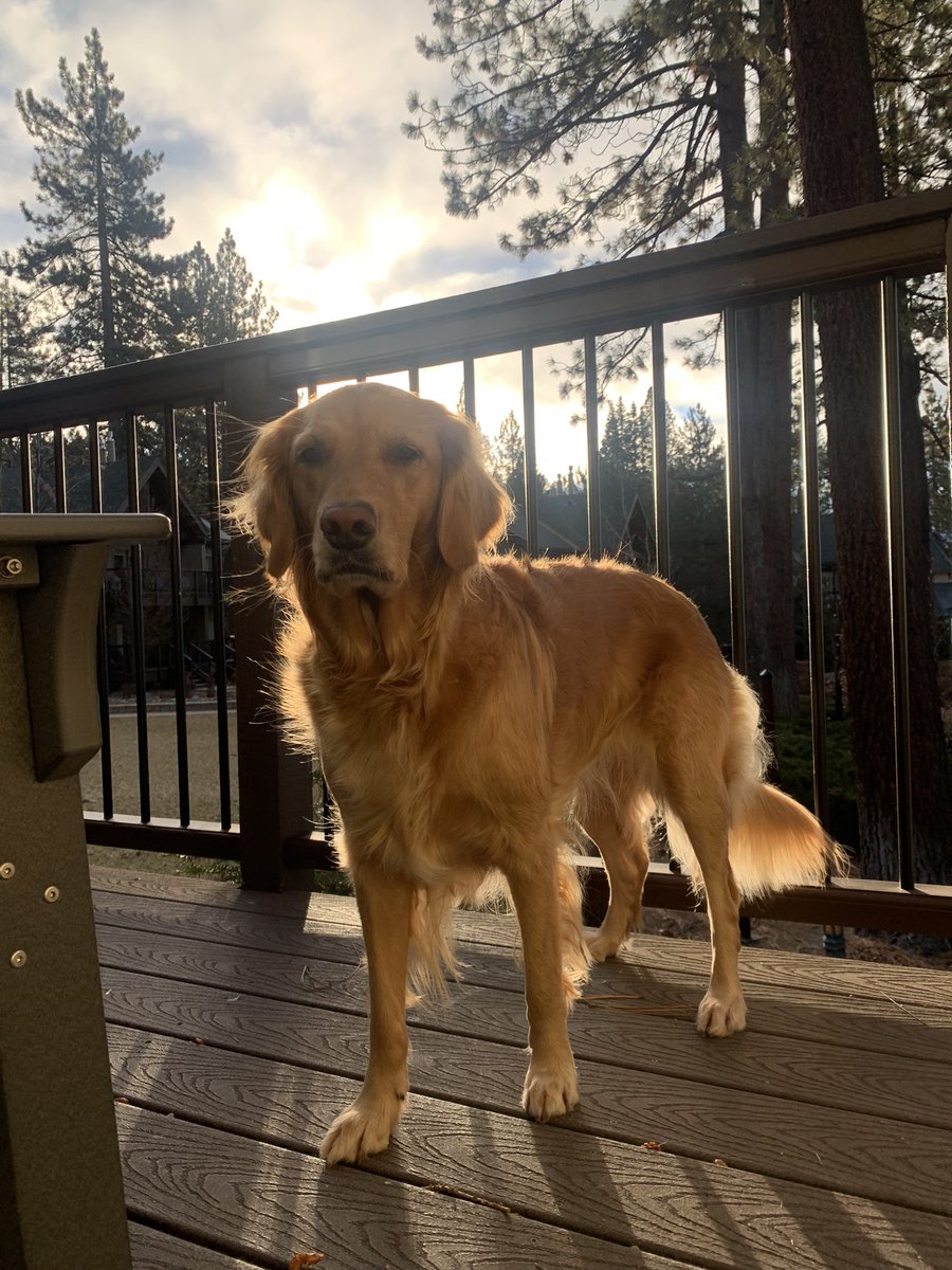 Talhanksgovung Day 연휴 
가족들과 여행 중 @ South Lake Tahoe 😊