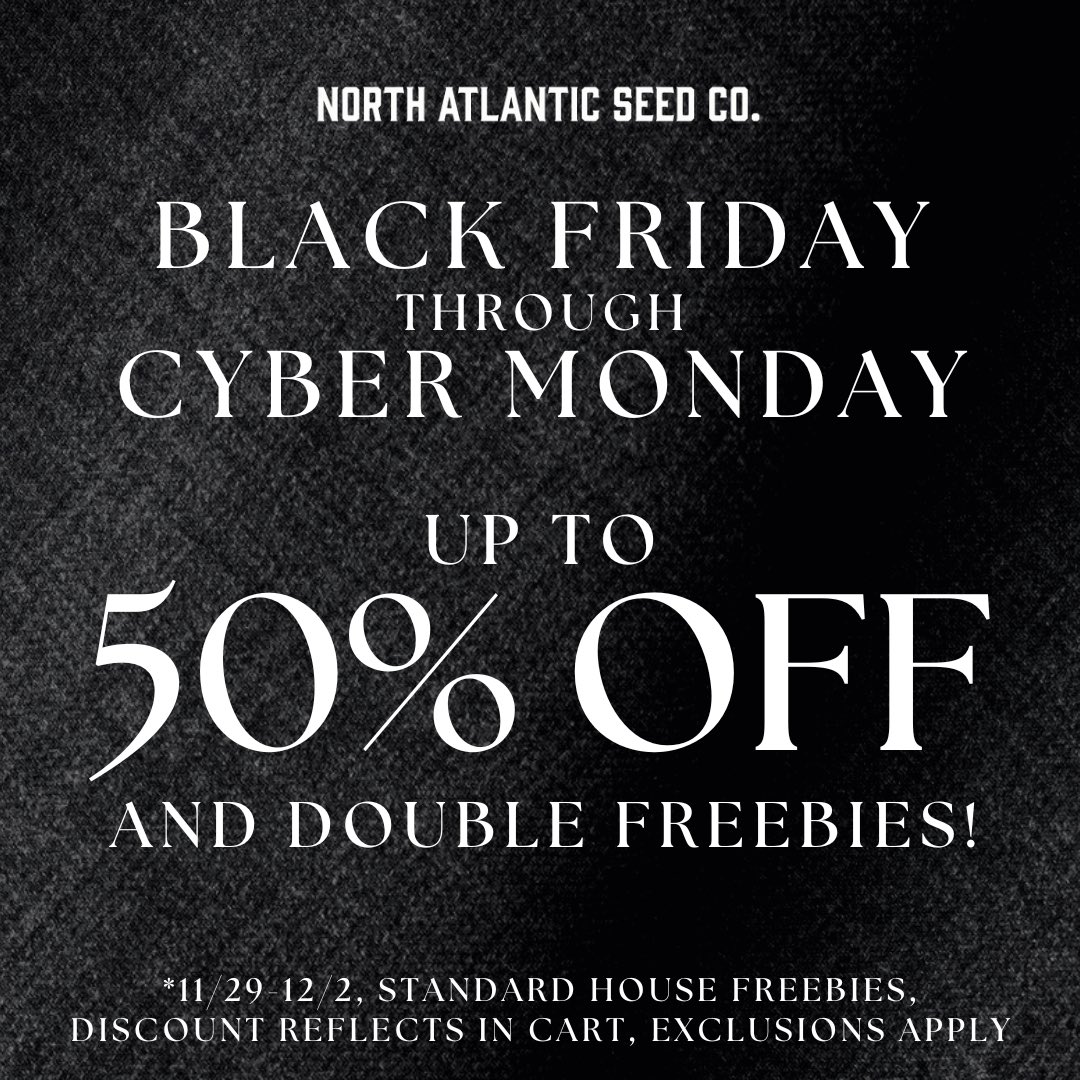 N_A_S_C_'s tweet photo. Don’t miss out on our BEST DEALS of the year!🖤
🔥Black Friday - Cyber Monday🔥

Black Friday Deals:🌱
Up to 50% OFF Site Wide
Double Standard Freebies
Trailer Park Boys / Hemptown USA Giveaway
40% OFF Annaboto
Royal Queen BOGO
In House Discounts
Ethos Double Freebies
Dirty Bird Rainbow Unicorn Freebies
Thug Pug Freebies
Happy Valley Freebies
Blimburn Freebies

New Drops:🎁
Holiday Collector’s Boxes
Dirty Bird Few of Our Favorite Things Box Set
Solfire Best of 2024 Box Set
Private Label (25% OFF & Double Freebies)
Square One Iced Up Cherries 3pm EST

Nothing for sale on social media. Link in bio. Full details available on our website. While supplies last. Most promos valid with orders placed 11/29-12/2.