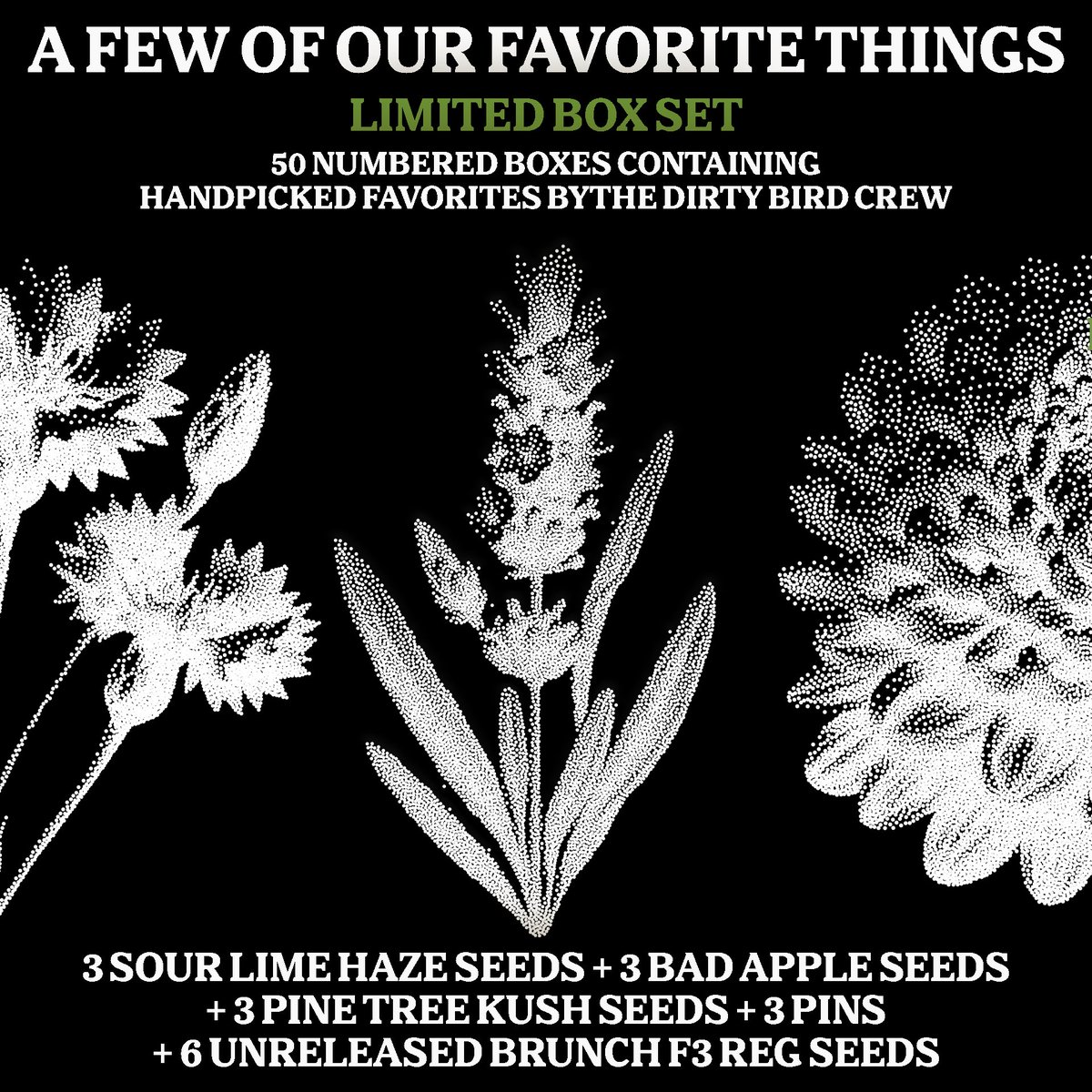 N_A_S_C_'s tweet photo. Don’t miss out on our BEST DEALS of the year!🖤
🔥Black Friday - Cyber Monday🔥

Black Friday Deals:🌱
Up to 50% OFF Site Wide
Double Standard Freebies
Trailer Park Boys / Hemptown USA Giveaway
40% OFF Annaboto
Royal Queen BOGO
In House Discounts
Ethos Double Freebies
Dirty Bird Rainbow Unicorn Freebies
Thug Pug Freebies
Happy Valley Freebies
Blimburn Freebies

New Drops:🎁
Holiday Collector’s Boxes
Dirty Bird Few of Our Favorite Things Box Set
Solfire Best of 2024 Box Set
Private Label (25% OFF & Double Freebies)
Square One Iced Up Cherries 3pm EST

Nothing for sale on social media. Link in bio. Full details available on our website. While supplies last. Most promos valid with orders placed 11/29-12/2.