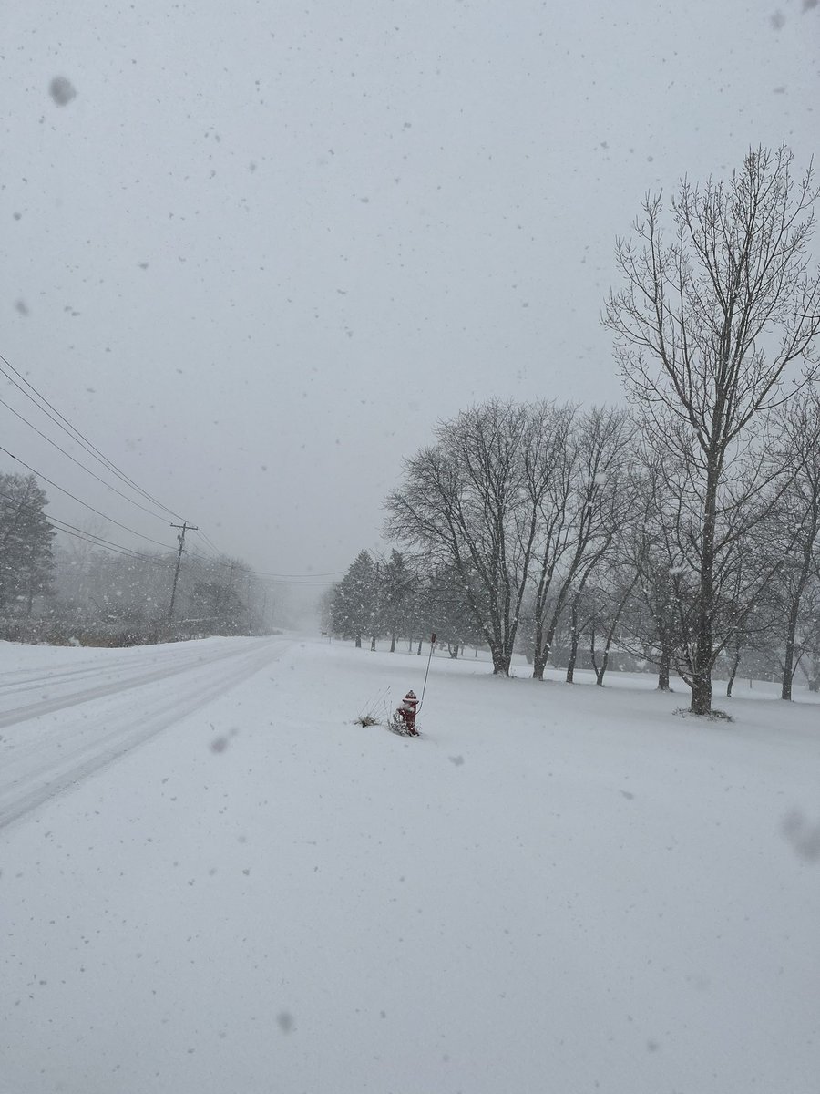 Natalie Faas tweet media