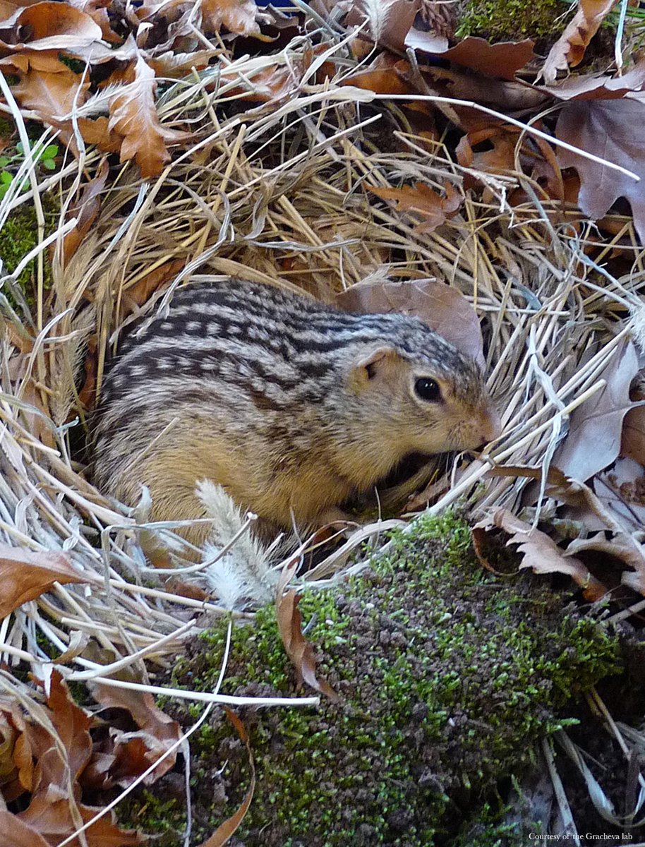 Science Magazine tweet media