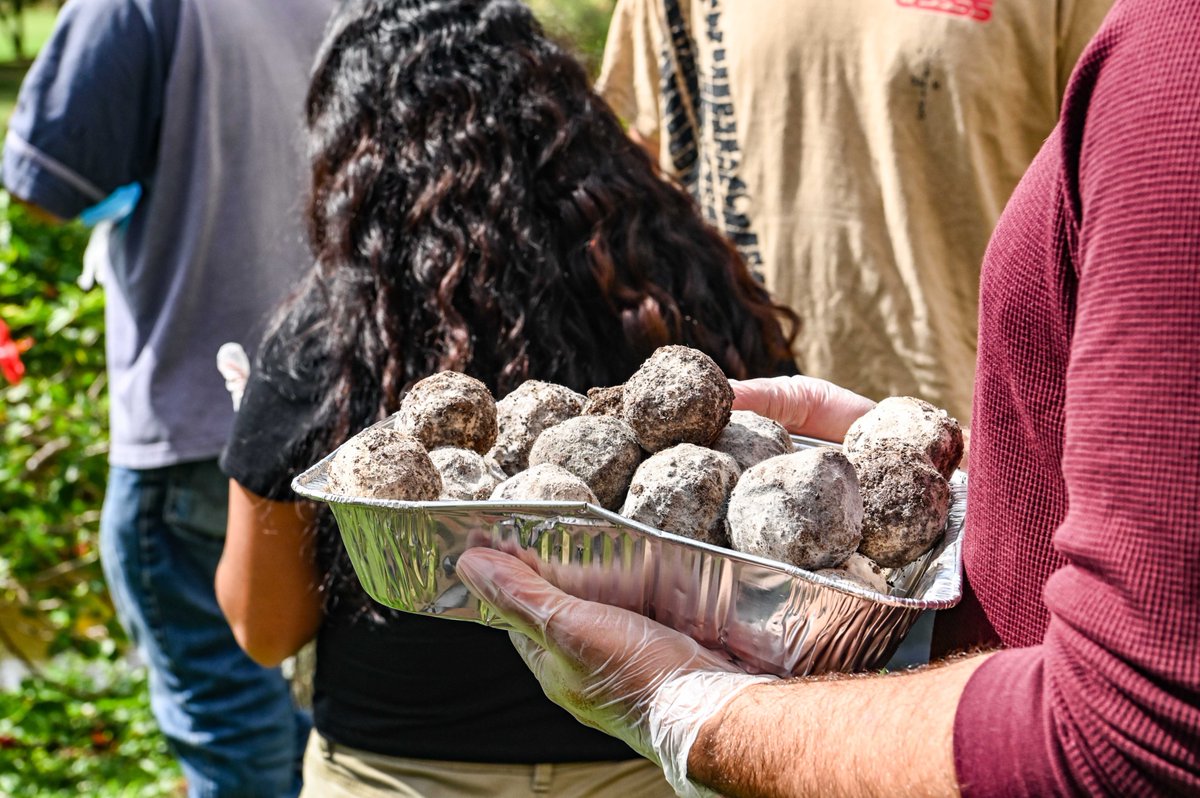 Assistant Secretary of the Navy (EI&E) tweet media