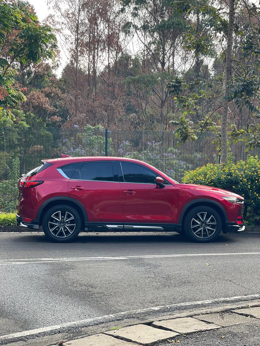 🇲🇼 Wain Prism tweet media