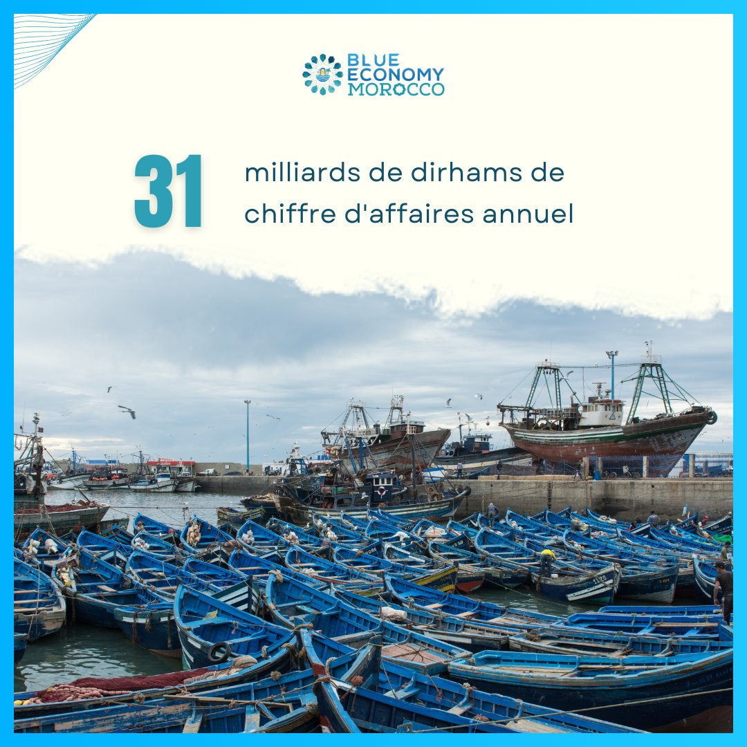 BlueEconomyMA's tweet photo. 🌊 La pêche maritime : un pilier de l’économie bleue au Maroc 🎣

 Grâce à la stratégie Halieutis lancée en 2009, le Maroc s’est imposé comme une référence internationale dans l’industrie de la pêche ���. 

#EconomieBleue #PêcheMaritime #Halieutis #IndustrieMaritime #Maroc https://t.co/FTwIetZuX0