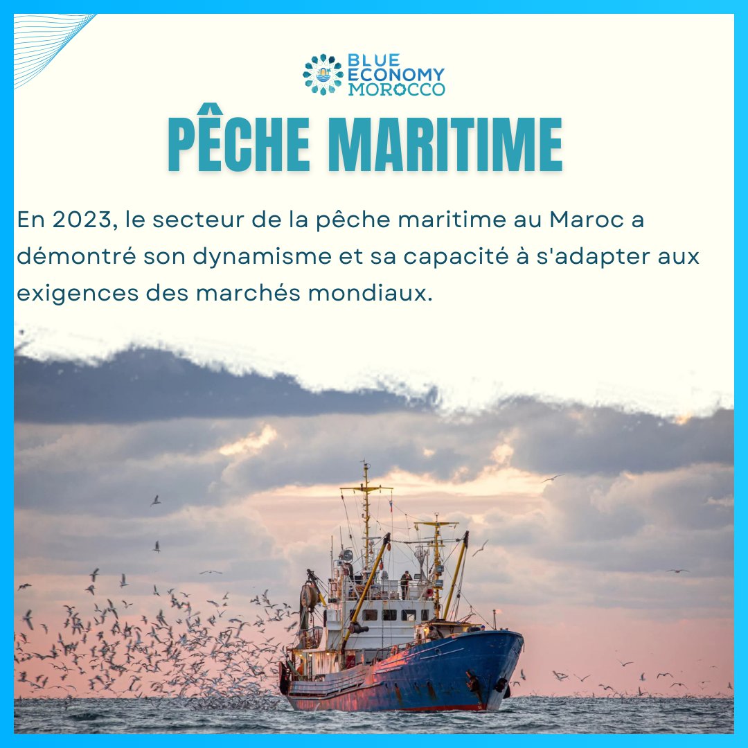 BlueEconomyMA's tweet photo. 🌊 La pêche maritime : un pilier de l’économie bleue au Maroc 🎣

 Grâce à la stratégie Halieutis lancée en 2009, le Maroc s’est imposé comme une référence internationale dans l’industrie de la pêche ���. 

#EconomieBleue #PêcheMaritime #Halieutis #IndustrieMaritime #Maroc https://t.co/FTwIetZuX0