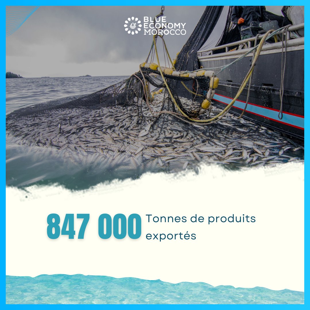 BlueEconomyMA's tweet photo. 🌊 La pêche maritime : un pilier de l’économie bleue au Maroc 🎣

 Grâce à la stratégie Halieutis lancée en 2009, le Maroc s’est imposé comme une référence internationale dans l’industrie de la pêche ���. 

#EconomieBleue #PêcheMaritime #Halieutis #IndustrieMaritime #Maroc https://t.co/FTwIetZuX0