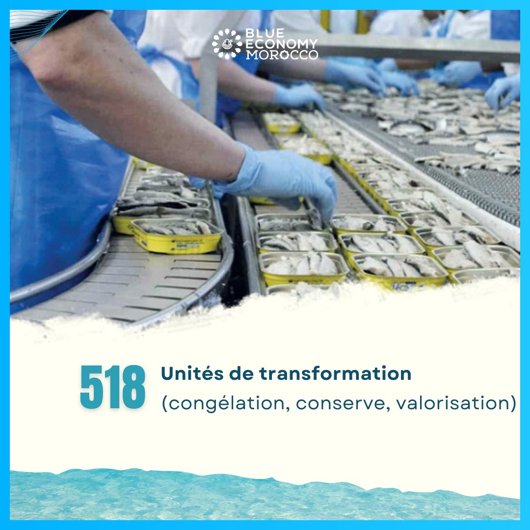BlueEconomyMA's tweet photo. 🔹 126 000 emplois directs créés en 2023 👷‍♂️
🔹 Plus de 518 unités de transformation : congélation, conserve et valorisation 🏭
🔹 847 000 tonnes exportées pour un chiffre d’affaires de 31 milliards de dirhams 💰
🔹 Le secteur représente 39 % des exportations agroalimentaires 🇲🇦 https://t.co/OkLK080bmt