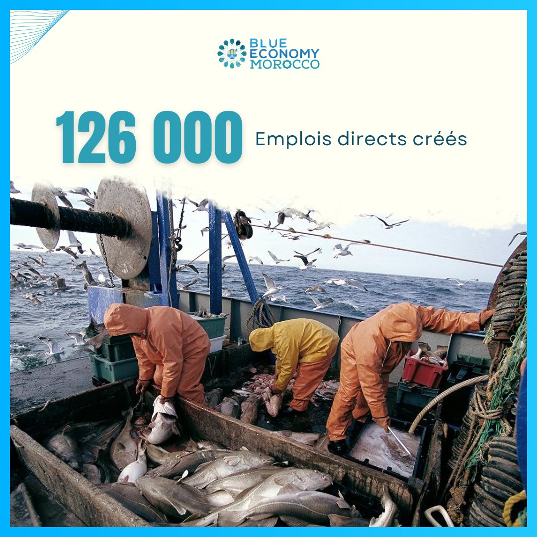 BlueEconomyMA's tweet photo. 🔹 126 000 emplois directs créés en 2023 👷‍♂️
🔹 Plus de 518 unités de transformation : congélation, conserve et valorisation 🏭
🔹 847 000 tonnes exportées pour un chiffre d’affaires de 31 milliards de dirhams 💰
🔹 Le secteur représente 39 % des exportations agroalimentaires 🇲🇦 https://t.co/OkLK080bmt