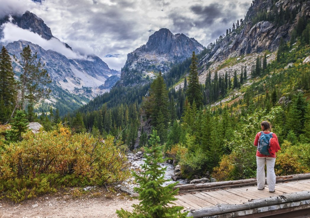 AmericanForests's tweet photo. I know, I know: it’s easy to get swept away by all the sales happening right now, but I’m here to remind you that taking a walk in the forest is free* 💚🌲 

(*or sometimes with a fee that benefits the forest!) https://t.co/qdVCeIxqUQ