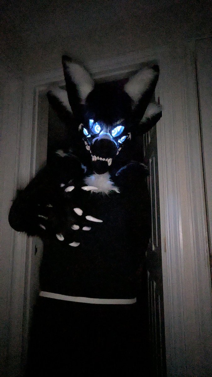 I swear he doesn't bite 

Officially a fursuit owner. Lurking in the shadows in an alley near you. Just in time for the LFM winter party!
