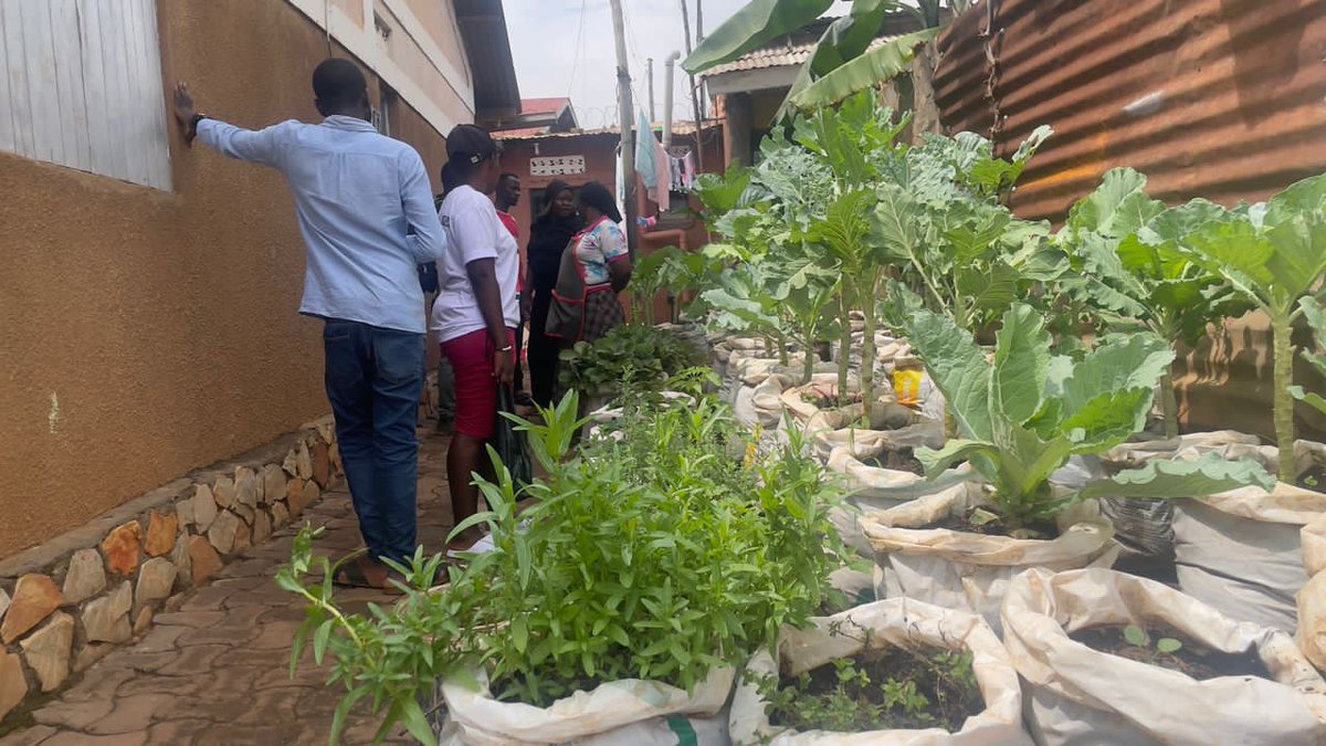 ButabikaS's tweet photo. Empowering Communities, One Visit at a Time!
as the PMERL Footmarks team, we visited beneficiaries of @FootmarksU programs to evaluate their progress, address challenges, and identify opportunities for continued support
It's inspiring to see the tangible impact https://t.co/WNbctvFKrO