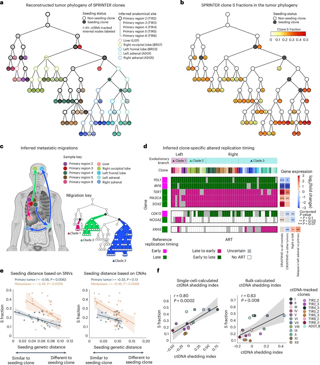 'Characterizing the evolutionary dynamics of cancer proliferation in single-cell clones with SPRINTER'
nature.com/articles/s4158…