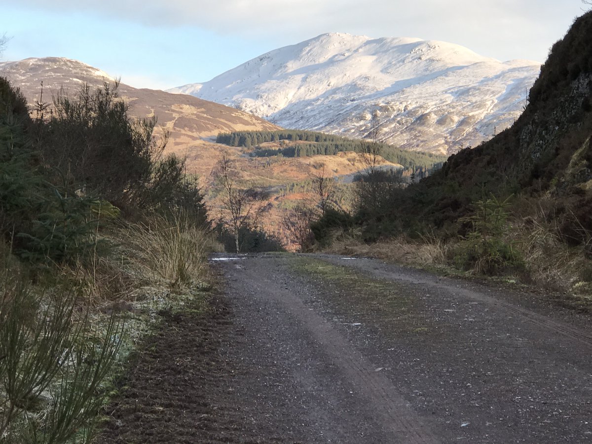 GallusRunning's tweet photo. Experience Scotland's breathtaking beauty with us every Friday! Check out this stunning view of Loch Venachar from Meall nan Gobhar with Ben Ledi's snow-capped peaks in the distance. Follow our run Scotland journey.
#runscotland #visitscotland #trossachs #gallusrunning https://t.co/SuLY7as1rz