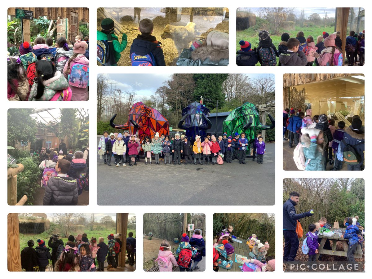 StGerardsWidnes's tweet photo. Class 1 had a wonderful day at Chester Zoo! We saw so many animals and learnt more about native and non-native species with @LearnatCZ 🦋🦜🐘🦏🐆. #StGerardsScience #StGerardsOutdoorLearning @chesterzoo https://t.co/B8dzgbxppb