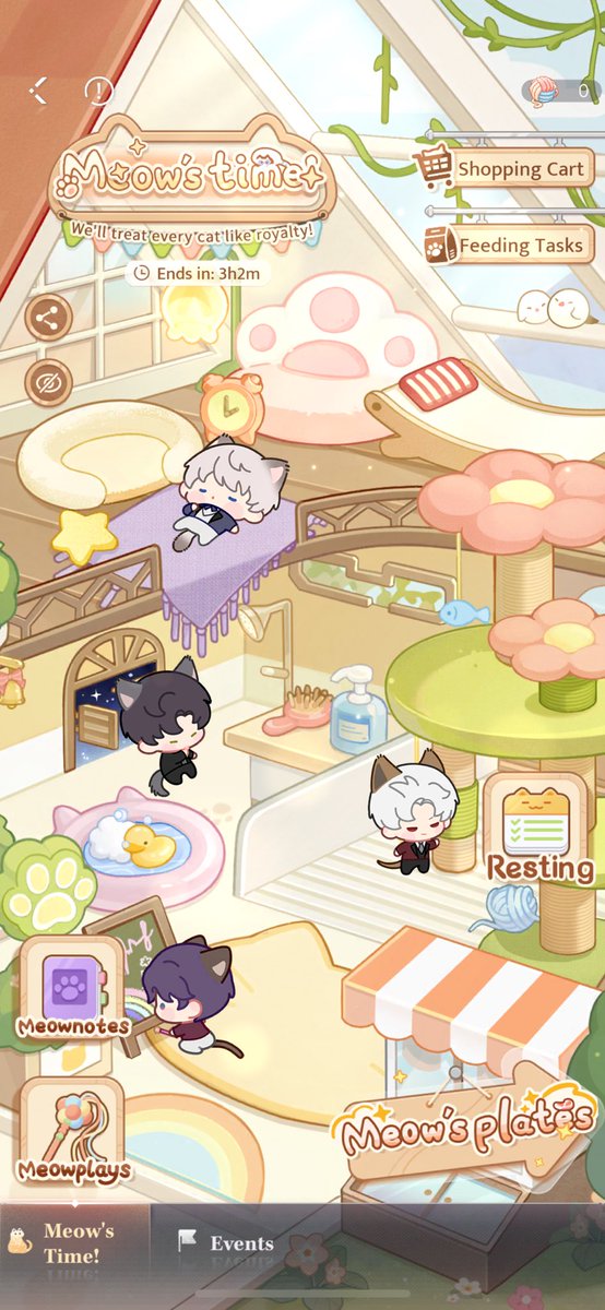 choi7O7's tweet photo. I’m going to miss the kitties (3 hrs left) #itsmeowstime https://t.co/u9tikUmT7v