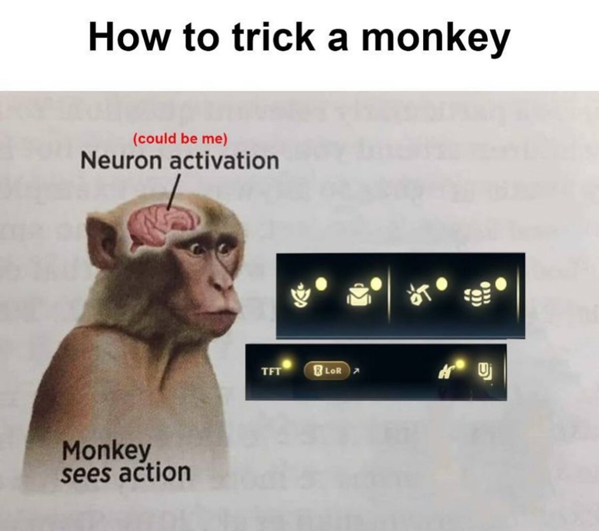 1v9.GG (@1v9gg_) on Twitter photo 