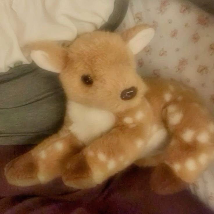 sugarlambi's tweet photo. ᧔🦌᧓ december accountability . . . ଓ ♡ https://t.co/wRF3Y7ww9S