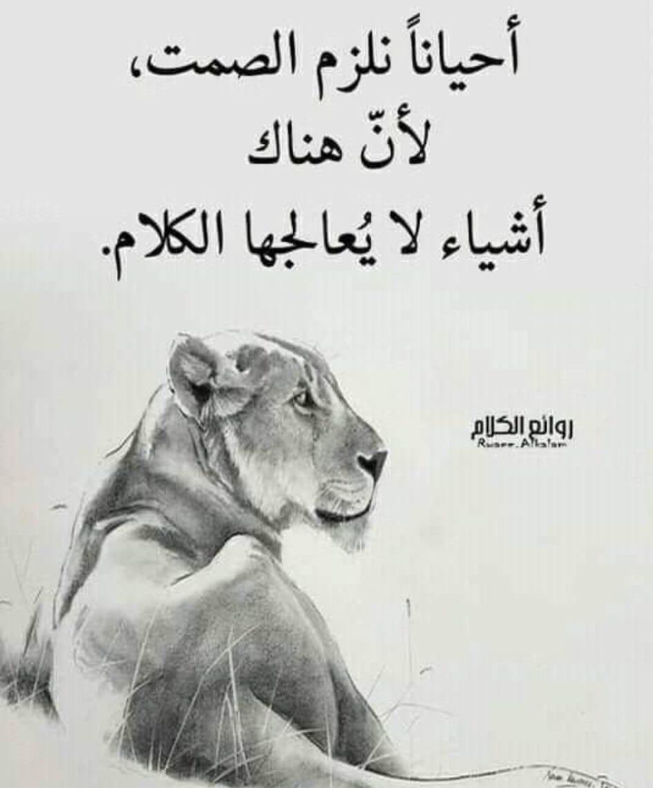 ‏c'est la vie (@bb_o_m_m) on Twitter photo 