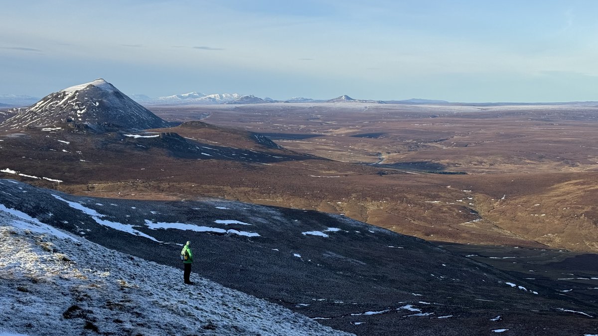 A quest for Ptarmigan on a stunning day in Caithness came good eventually, with this single male giving great views and calling away. Amazing camouflage even with limited snow cover.

Big thanks to <a href="/xemasabini/">Rob Hughes</a> for the help!