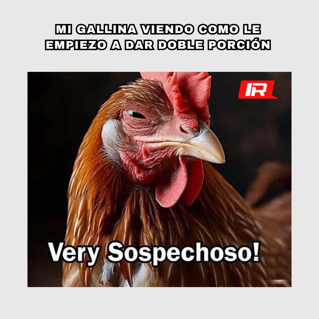 Verificación: La gripe aviar no solo afecta a las aves de corral y ganado |  Reuters, image size:1080x1080